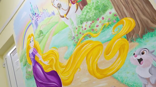 Рапунцель с красками