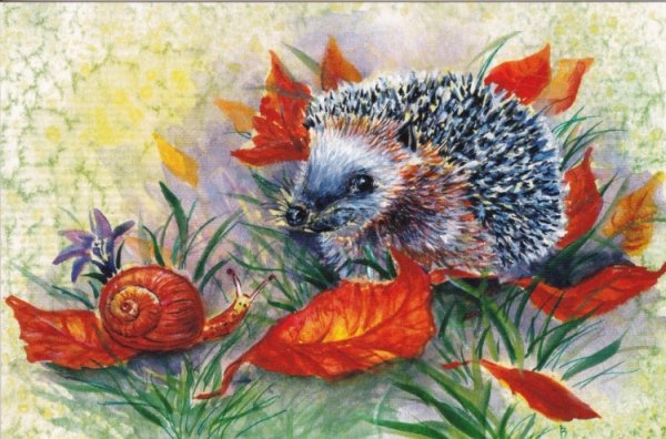 Ежик гуашью