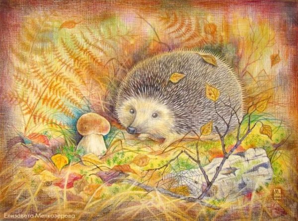 Ежик осенью для детей