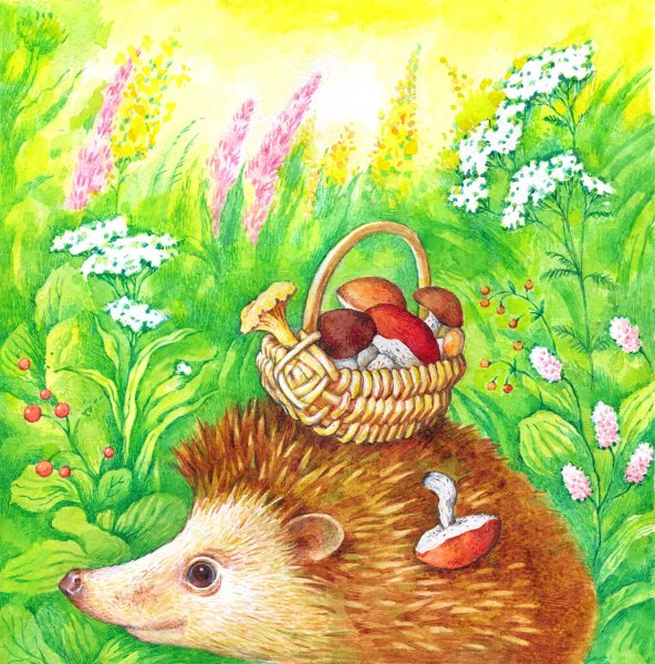 Ежик иллюстрации художников
