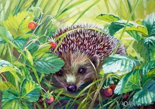 Неприятель Юлия Александровна художник ежики