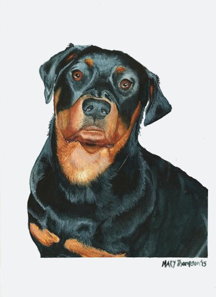 Дин Руссо ротвейлер