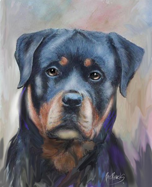 Ротвейлер собака арт