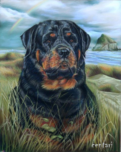 Картина ротвейлер собака