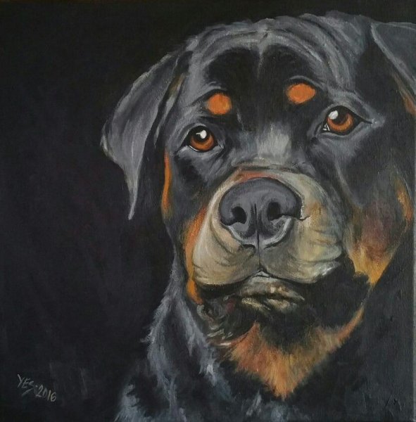 Ротвейлер живопись