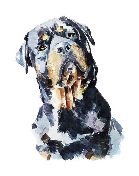 Картина собаки