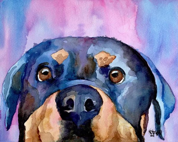 Ротвейлер живопись акрил