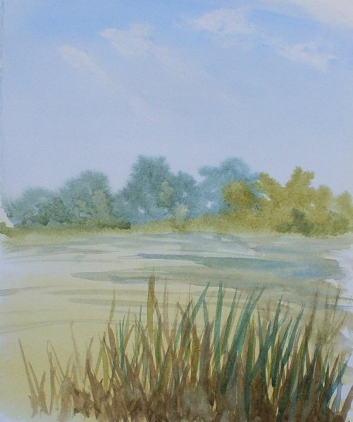 Камыш у озера живопись