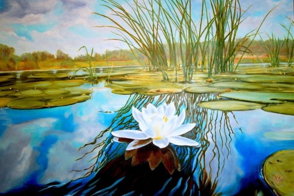 Озеро пастель кувшинки Лотос