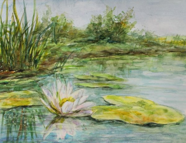 Кувшинки гуашью