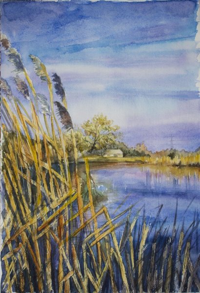 Озеро камыши акварель