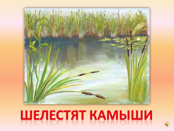 Сказочное болото с камышами