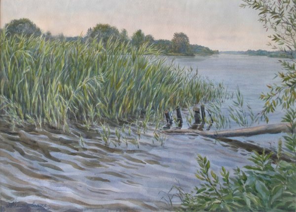 Камыши Осока у реки в живописи