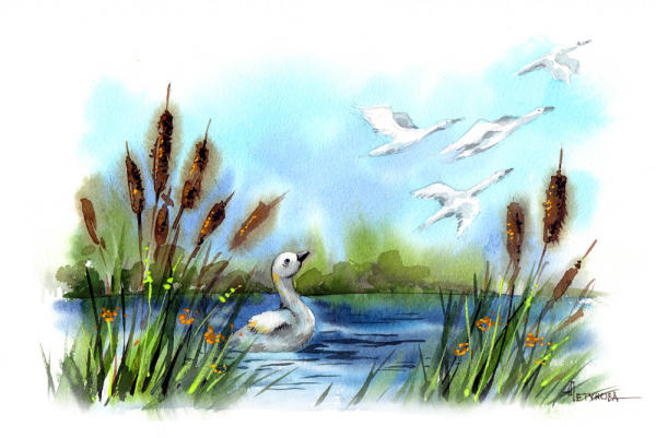 Иллюстрации к гадкому утенку Андерсена