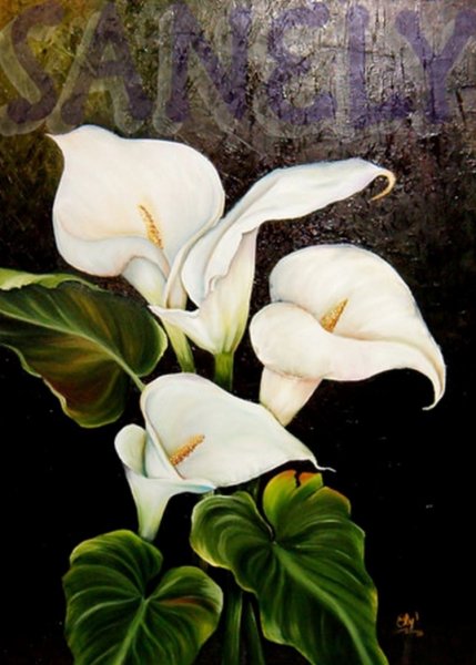 Цветы каллы акварелью