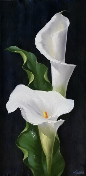 Картины вышивка с Калами