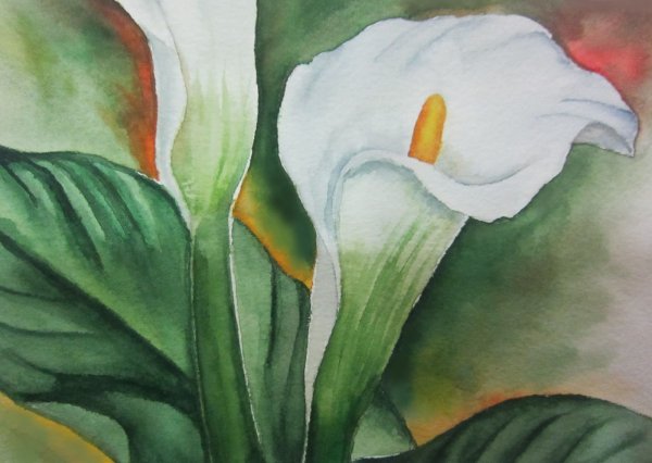 Каллы акрилом