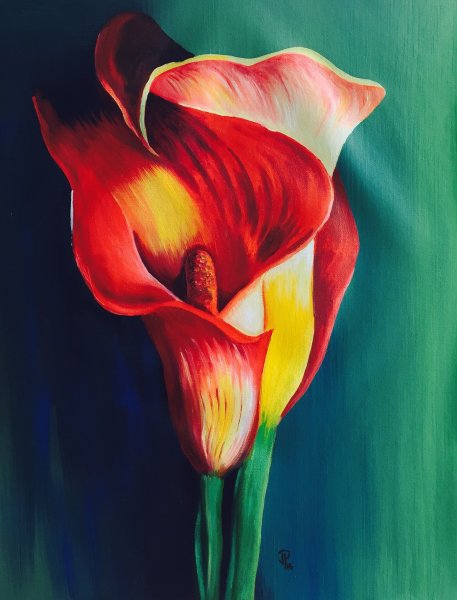 Цветы каллы акварелью