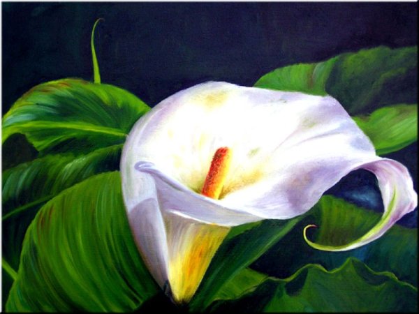 Фредерик Уайт художник фиолетовые цветы