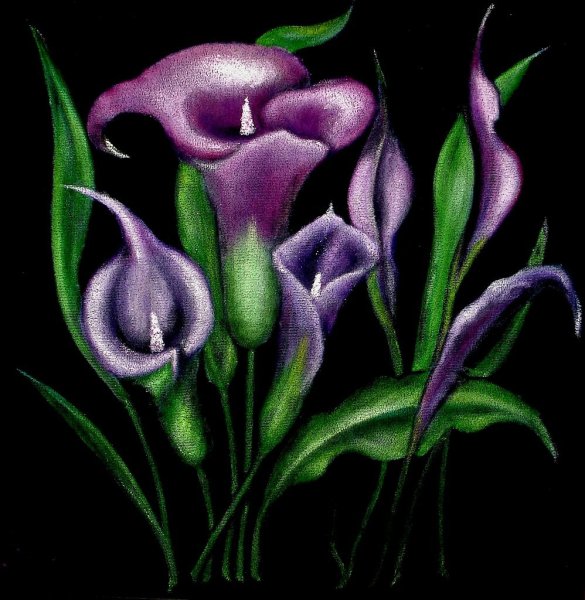 Каллы роспись