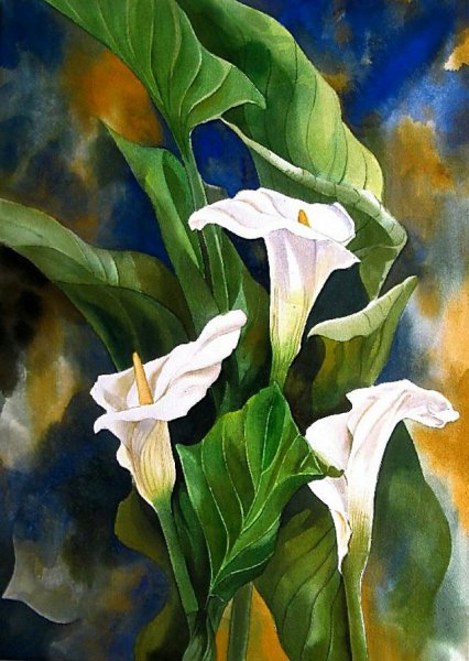 Коала акварелью