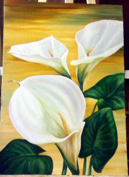 Осип Сидлин каллы