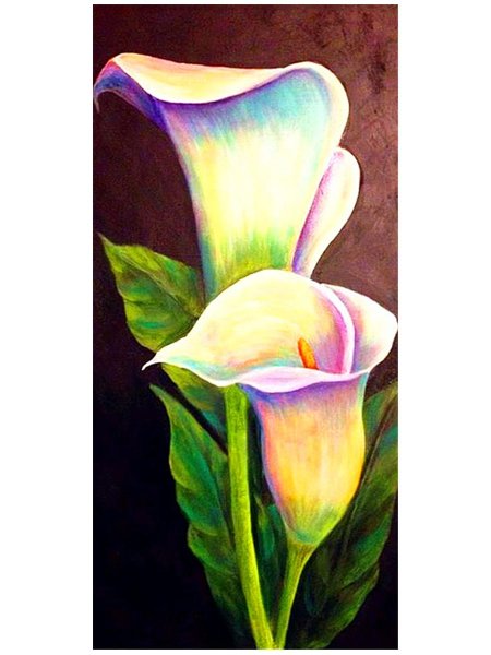 Каллы рисунок акварелью