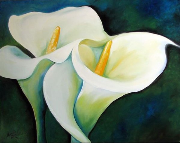 Калла Пикассо