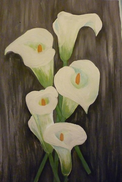 Абель Катерина каллы