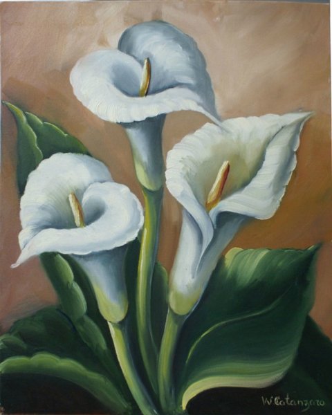 Картинакатрин Абель каллы