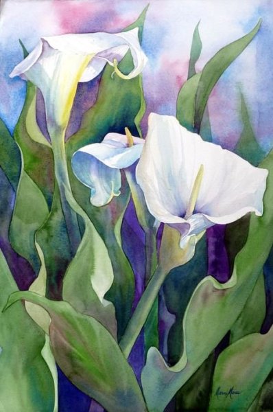 Каллы картина