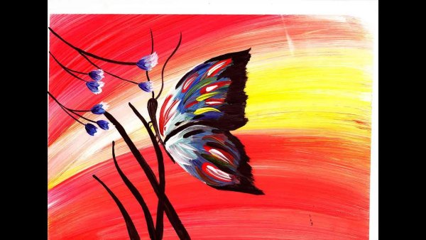 Яркие рисунки бабочки