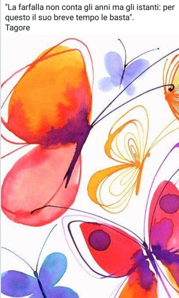 Поделка бабочка гуашью для детей