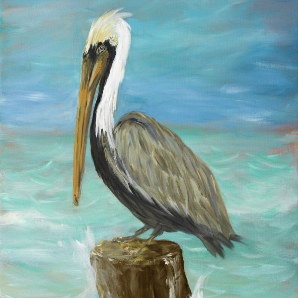 Постер. Пеликаны