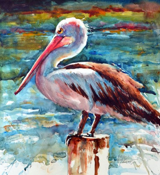 Пеликан маслом