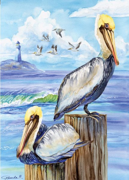 Пеликан рисование