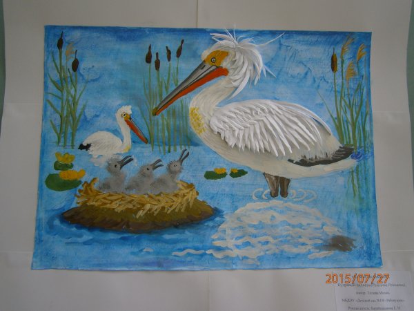 Детские рисунки Пеликан