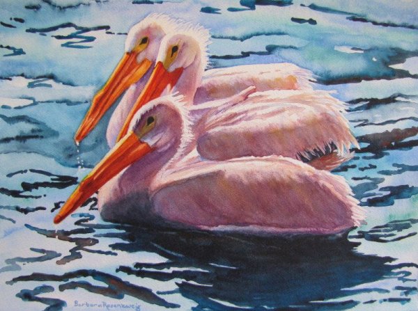 Пеликан красками