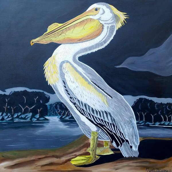 Птица фантастическая акварель