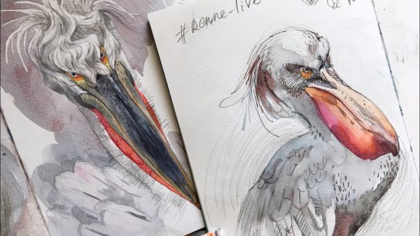 Картины маслом птицы