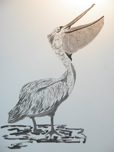 Детские рисунки Пеликан