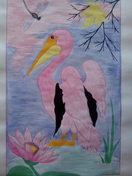 Денежный Пеликан