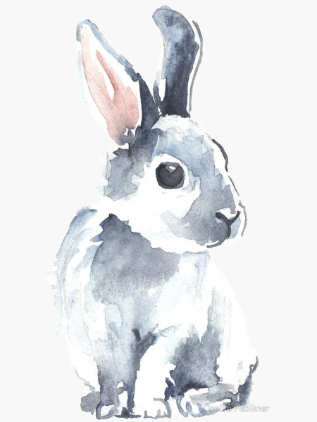 Заяц акварель