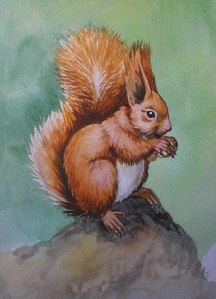 Картина Келейникова белки