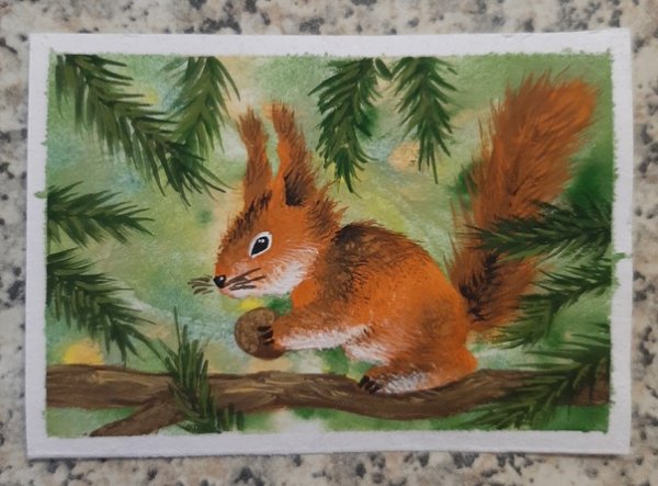 Белка гуашь для малышей