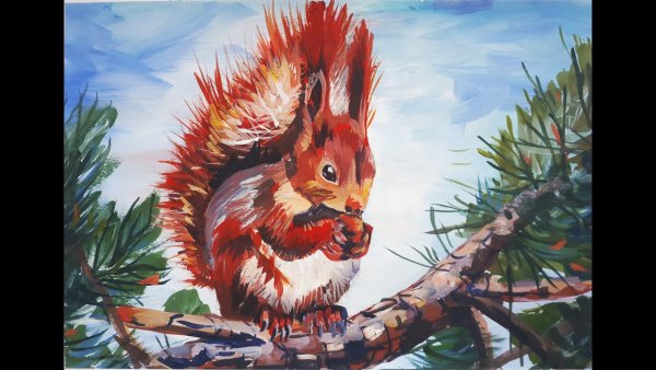 Белка гуашью