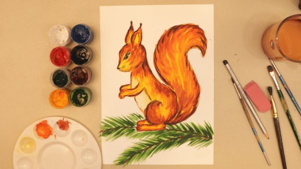 Как нарисовать белку карандашом поэтапно