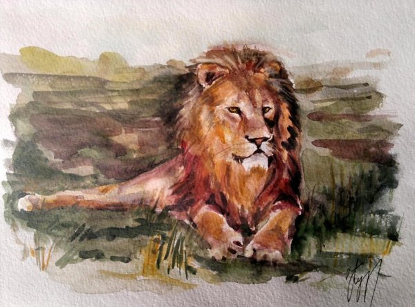 Лев красками для детей