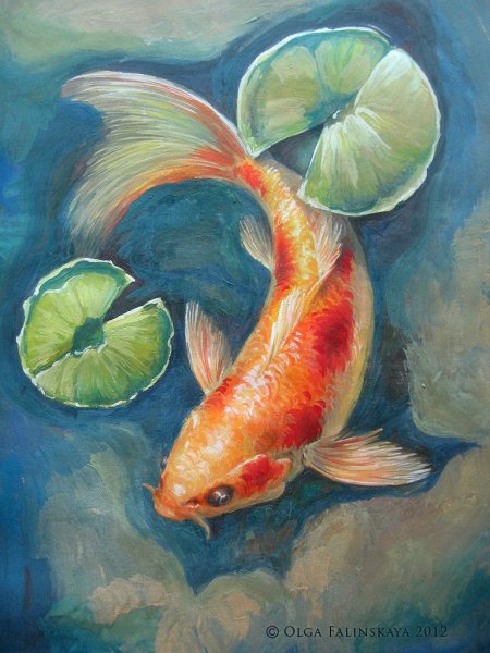 Карпы кои акварель