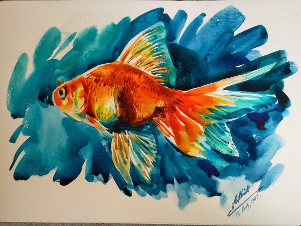 Идеи для рисования рыба акварелью